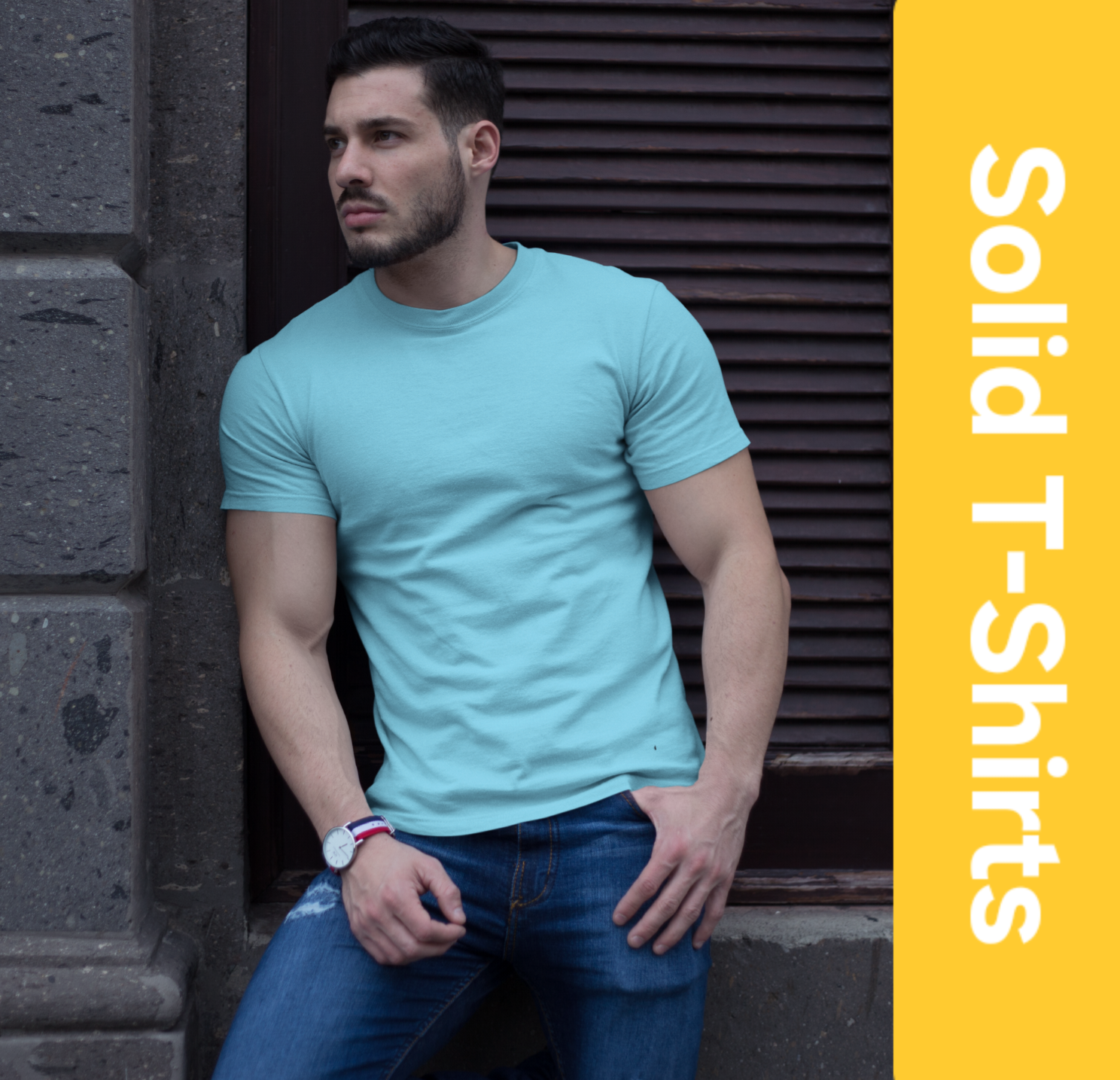 Regular Solids Tees